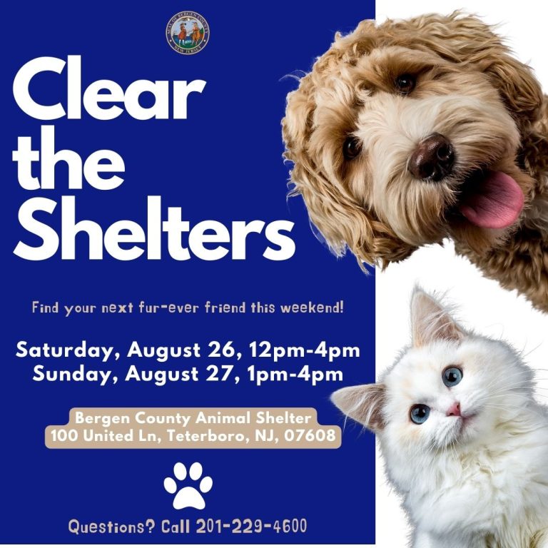 ANIMAL ADOPTION WEEKEND AT THE BERGEN COUNTY ANIMAL SHELTER