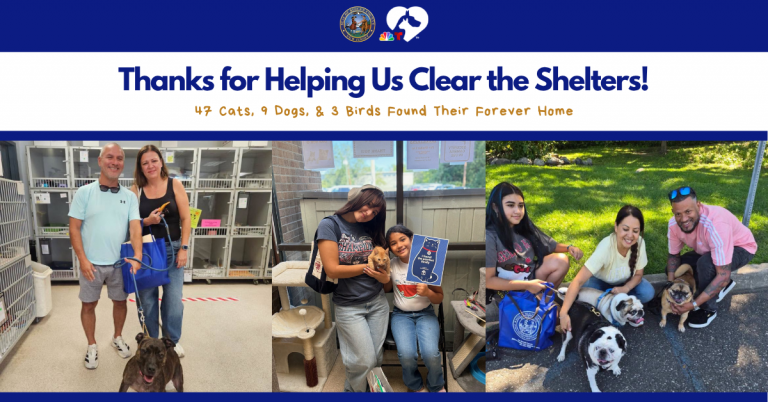 SUCCESSFUL CLEAR THE SHELTERS WEEKEND AT BERGEN COUNTY ANIMAL SHELTER AND ADOPTION CENTER